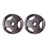Anilha Sport Pintada 1 Par 10kg Furo Olímpica Fit Musc Cros