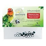 Anilhas Anéis 4 5mm Agapornis Kakariki Red Rumped Forpus Catarina Neophema Metal Alumínio Coloridas Anel Fechado Marcação Número Identificação 20 Unidades Verde