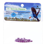 Violeta