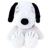 Animal Adventure-- Peanuts--Snoopy - 2-in-1 Transformable Character Cape - Plush Pal