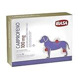 Anti Inflamatorio Para Cães Carprofeno Ibasa 100mg