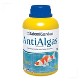 Algas