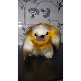 Pelúcia