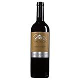 Antuco Vinho Chileno Cabernet Sauvignon 750Ml