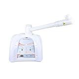 Aparelho Vapor De Ozônio Dermosteam 3 0 Ibramed 220V 