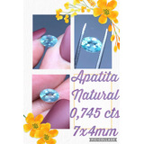 Apatita 0 745 Cts 0val Natura Turmalina Da Paraíba 7x4 Mm A