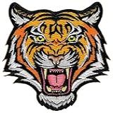 Aplique Bordado De Tigre Bordado Com Aplique De Bengala Rugindo Lembrança Listrada