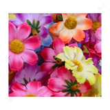 Aplique Flor Com Miolo De 30mm Em Poliester Com 100 Peças