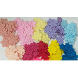 Aplique Flores Prensada Envio Imediato 300 Und Colorida