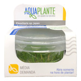 Aquaplante Plantas In Vitro