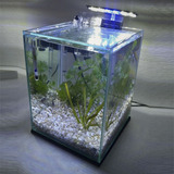 Aquário 10l Quili Classic Nano Equipamentos Decoração
