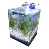 Aquário 10l Quili Classic Nano Filtro Hangon Decoração