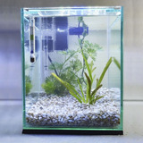 Aquário 10l Quili Classic Nano Filtro Luminária Termostato
