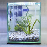 Aquário 10l Quili Classic Nano Luminária Decoração