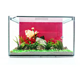 Aquário 3 8 Litros Retangular Decorado Vidro 3mm Plantas