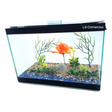Aquário 9 Lts Decoração Fixa 30x15x20cm Beteira Retangular