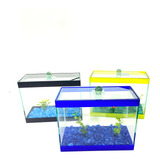 Peixes