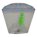 1l