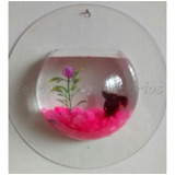 Aquário Beteira De Parede Aquaplant Litwin 700 Ml P Betta