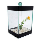 Aquário Beteira Decorado Pedras Coloridas Flor 9x9x14 Peixe