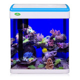 Aquário Beteira Minjiang Mj m260 9 L Com Filtro E Luminária Cor Azul 220v