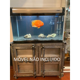 Aquario Boyu 148 Litros Preto Curvo