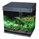 Aquário Boyu Ms 320 Vidro Curvo Preto 20l 220v