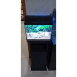 Aquário C Sump Tampa Led Bomba E Móvel 24 Litros