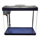 Aquário Curvo Boyu Ec 600 66 Litros Preto De Vidro 127v