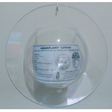 Aquário De Parede Beteira Aqua Plant Litwin 700ml