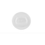 Aquário De Parede Beteira Aqua Plant Litwin 700ml