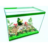 Plantas