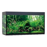 Aquário Luxo 15 Litros 30cm 35x20x25cm Iluminação Led 3w Bivolt Tampa Vinil Preto P Peixes Pequenos Betta Tetra