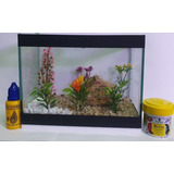 Aquário Mine Beteira Jardim Retang 3l Brindes Ração rede 0
