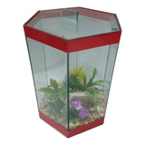 Aquário Mini Beteira Jardim Sextavado 1 8lts Decorado N