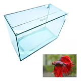 Aquário N 4 35x17x22 Beteira Para Peixes E Plantas Aquáticas