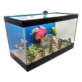 Aquário Para Peixe Betta Beteira C Decoração Fixa 4 5litro