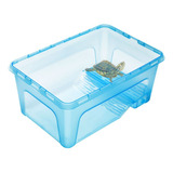 Aquario Para Tartaruga E Terrario Para Tartaruga gde D5p5
