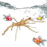 Aquário Raiz árvore Madeitanque Acessórios Para Tanques Peixes Decoração Terrário Troncos árvores Naturais Para Aquários Pequenos Pasukit