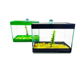 Aquário Retangular 17x9x13 1 98l Beteira Peixes Bettas Full