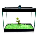 Aquário Retangular Decorado 3 Litros 20x10x15 Brindes