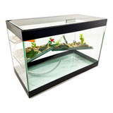Aquário Terrário N 4 Vidro Decorado 13 Lt 35x16x22 Tartaruga