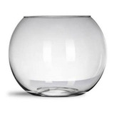 Aquário Vaso Redondo Vidro Decoração Terrário 2 6l   Brinde