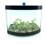 Aquario Vision Curvo Com Planta Decorada Beteira Curva Full