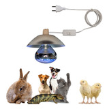 Aquecedor Pintinho Campanula C Tomada Lampada 250w