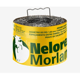 Morlan
