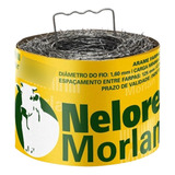 Morlan
