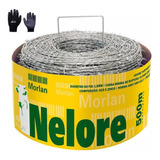 Arame Farpado 500 Metros Nelore Morlan