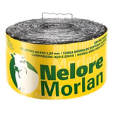Morlan