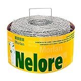 Arame Farpado Galvanizado Rolo Com 100m Nelore 1Kg Grampo